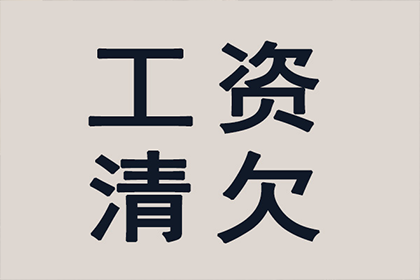 绥滨清账公司